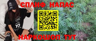 соль ск Будённовск