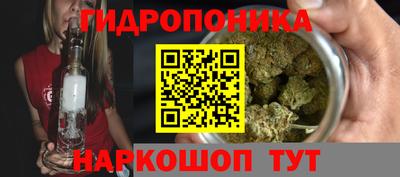 соль ск Будённовск
