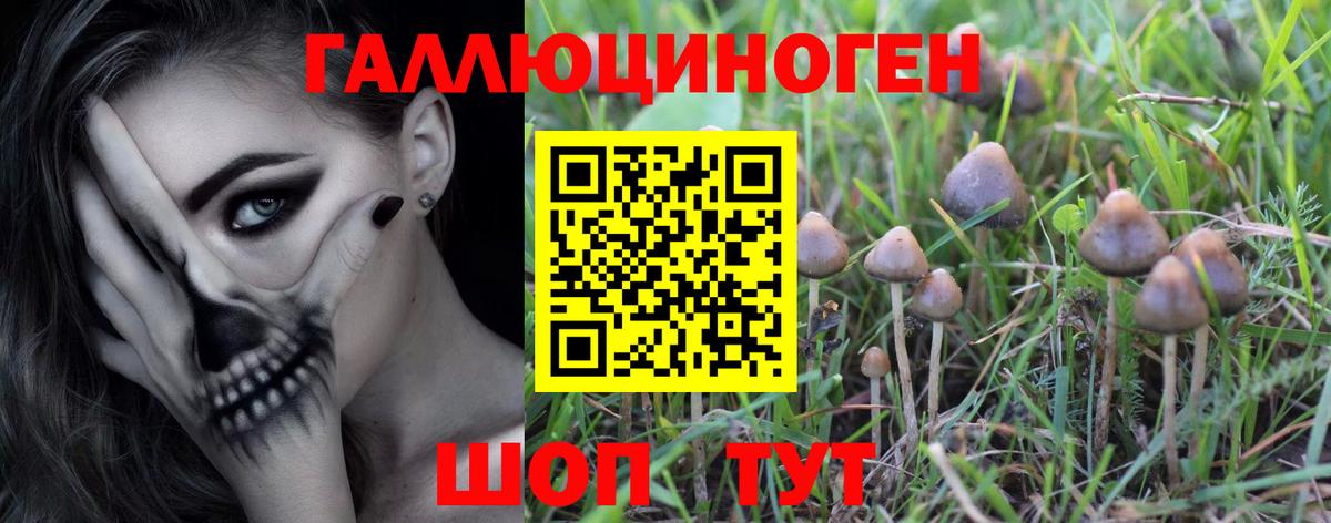 Псилоцибиновые грибы GOLDEN TEACHER  Вход с VPN  Кубинка 